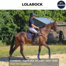 LOLAROCK - AQPS - 4 ANS