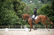 Jument de dressage potentiel St Georges