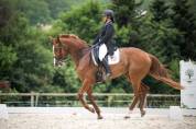Jument de dressage potentiel St Georges