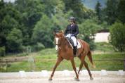 Jument de dressage potentiel St Georges