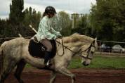 PONEY HONGRE PRE PP