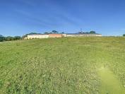 ALBI (81) - Propriété élevage 50ha avec corps de ferme 