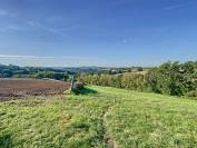 ALBI (81) - Propriété élevage 50ha avec corps de ferme 