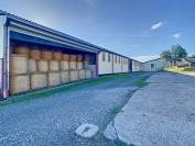 ALBI (81) - Propriété élevage 50ha avec corps de ferme 