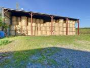 ALBI (81) - Propriété élevage 50ha avec corps de ferme 