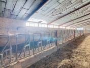ALBI (81) - Propriété élevage 50ha avec corps de ferme 