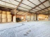 ALBI (81) - Propriété élevage 50ha avec corps de ferme 