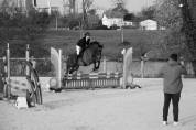 Poney E