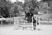 Poney E