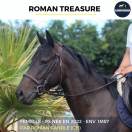 ROMAN TREASURE - PS - 3 ANS 