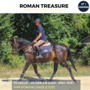 ROMAN TREASURE - PS - 3 ANS 
