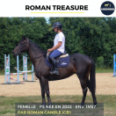 ROMAN TREASURE - PS - 3 ANS 