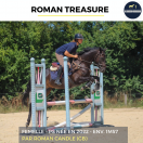 ROMAN TREASURE - PS - 3 ANS 