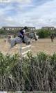 Vendo pony 13 anni 