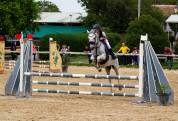 Vendo pony 13 anni 