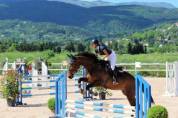 Superbe Hongre SF 13 ans 175cm 
