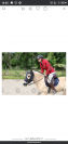 Location poney de sport 