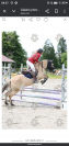Location poney de sport 