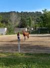Moniteur (trice) 