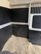 Horsebox HGV Renault STEPHEX RENAULT MASTER DOUBLE CABIN 2022 Used