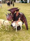 Palefrenier, soigneur, cavalier