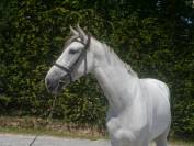 KEPHREN DES MONTS