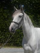 KEPHREN DES MONTS