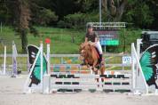 Poney B welsh