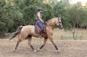 PRE - 5 ans - HONGRE - SUPER CARACTERE