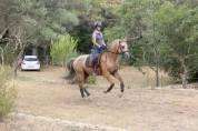 PRE - 5 ans - HONGRE - SUPER CARACTERE