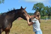 Jument Oldenbourg 4 ans