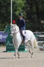 Poney de sport a vendre (ou a louer)