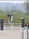 Poney de sport a vendre (ou a louer)