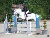 Poney de sport a vendre (ou a louer)