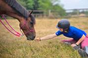 Cherche stage/apprentissage septembre 2025