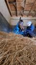 Cherche stage/apprentissage septembre 2025