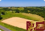 Propriété équestre avec Gîtes possibles 17 Hectares