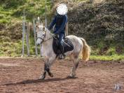 Ponette welsh B