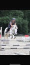 Poney Français de Selle x Connemara  Taille : 1m48