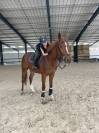 JIDAM D’AUBIGNY 
