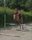 Ponette Connemara origines sport