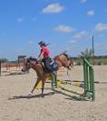 Poneys  d de sport
