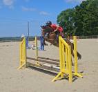 Poneys  d de sport