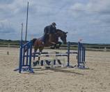 Jument  d'amateur  4 ans 