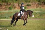 Poney Connemara PP 11 ans VENDRE/LOUER