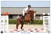 Jument CSO adorable SF 165cm
