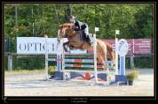 Jument CSO adorable SF 165cm