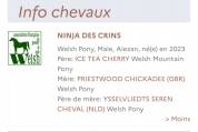 Poney de 2 ans pleins papier welsh 
