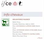 Ponette 2 ans pleins papier welsh 