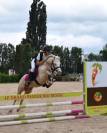 Ponette 2 ans pleins papier welsh 